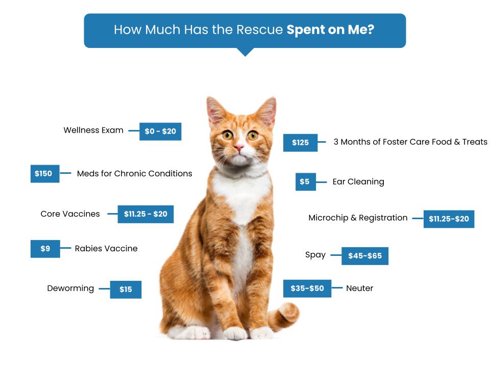 Clay County Animal Shelter Fee Graphic copy