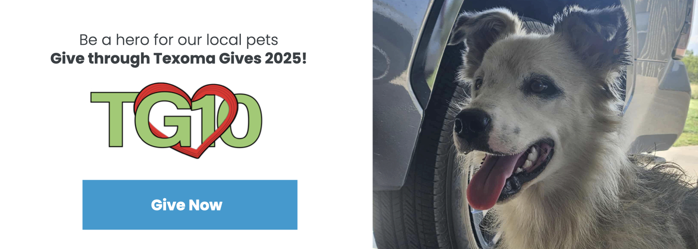 TexomaGives2025